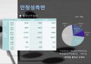 CJ 제일제당 재무재표 분석 17페이지