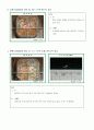 크레스, 무 새싹 키우기 - 물냉이, 무 새싹 탐구 3페이지