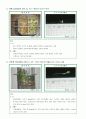크레스, 무 새싹 키우기 - 물냉이, 무 새싹 탐구 4페이지