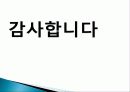 유재석의 리더쉽, 소개, 리더의 필수요소, 비전, 영향력, 선택, 실행, 인재, 제도, 문화, 풍토, 문화, 무한도전, 현황, 배울점, 나의 견해, 조사분석 12페이지