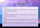 교육과 사회평등 24페이지