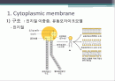 transport process(수송과정) ppt자료 및 대사 2페이지