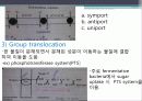 transport process(수송과정) ppt자료 및 대사 8페이지