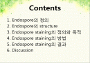 endospore 실험 ppt 자료 2페이지
