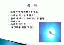 모험 관광 상품, 스쿠버 다이빙, 정보, 일정, 현황, 계획, 관광지 소개, 종류, 유의사항, 특징, 역사, 국내 현황, 마케팅 전략, 효과, 발전방안, 전망, 분석 2페이지