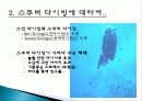 모험 관광 상품, 스쿠버 다이빙, 정보, 일정, 현황, 계획, 관광지 소개, 종류, 유의사항, 특징, 역사, 국내 현황, 마케팅 전략, 효과, 발전방안, 전망, 분석 4페이지