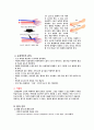 CRF (만성신부전) , 혈액투석, 복막투석, 간호진단 7페이지