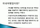 국내 여행의 관광 사업, 국내 여행사 테마캠프 소개, 경영 이념, 연혁, 비전과 목표, 마케팅 전략, 사업분야, 서비스 마인드, 현황, 특징, 마케팅 효과, 전망, 분석 3페이지