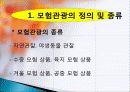 모험 관광 정의, 종류, 트레킹, 백두산 트레킹, 여행 일정, 현황, 계획, 관광지 소개, 종류, 특징, 역사, 국내 현황, 활성화 방안, 전망 4페이지