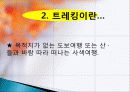모험 관광 정의, 종류, 트레킹, 백두산 트레킹, 여행 일정, 현황, 계획, 관광지 소개, 종류, 특징, 역사, 국내 현황, 활성화 방안, 전망 5페이지