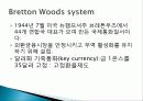미국 정치와 역사, 금융제도, 닉슨 대통령 불태환 선언, 신자유주의 경제정책, 성과, 쌍둥이 적자, 미국 금융위기, 레버리지 효과, 특징, 현황, 사례, 역할 6페이지
