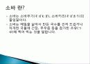 일본 식사예절과 음식, 식사할 때 쓰는 도구, 젓가락, 일본의 밥상, 음식의 맛, 덮밥의 종류, 스시의 종류, 인스턴트 라면의 전래, 우동, 소바, 특징, 현황, 사례, 시사점 12페이지