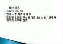 1.연극의 이해 30페이지