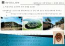 테마파크 정의, 개념, 지역 활성화, 전북 지역 현황, 활성화 전략, 파급 효과, 문화 관광, 변화, 특징, 현황, 관리, 시사점, 총체적 조사분석 13페이지