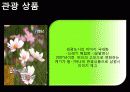 남원시 소개, 부서 소개, 예산 현황, 문화 정책, 문제점, 해결책, 변화, 특징, 현황, 사례, 해결방안, 관리, 시사점, 조사분 17페이지