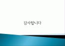 UCC, 플래쉬를 활용한 기획의도, 수용자의 욕구, 시장조사, 수용자 측 분석, 제작계획, 유통일정, 특징, 현황, 기법, 시사점, 나의견해, 조사분석 21페이지