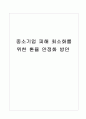 중소기업 피해 최소화를 위한 환율 안정화 방안 1페이지