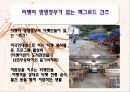 인도탐방기 - 비교발전과 행정 동아시아의 잠재력 (교육,환경,복지를 중점으로) 11페이지