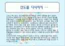 인도탐방기 - 비교발전과 행정 동아시아의 잠재력 (교육,환경,복지를 중점으로) 20페이지