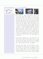 04,인사동,쌈지길,인사동거리,쌈짓길,전통길,인사동문화지구,전통문화거리,인사동보존,인사동활성화,2500 5페이지