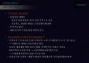 28,중국상해,상하이,상하이도시개발,푸동,푸동개발,도시개발사계,상하이도시계획,중국도시재생,상하이푸동,상해도시개발,개발사례,4500 57페이지