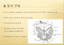 48,브라질리아,Brasilia,도시설계사례,단지설계사례,신행정수도,수도이전,브라질리아도시계획,르꼬르뷔제,행정수도이전,행정수도,해외수도건설,2500 6페이지