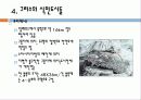 50,서양도시계획사,고대그리스,고대로마,문명,도시기원,그리스로마도시계획,그리스도시,로마도시,그리스도시계획,그리스 도시계획,로마제국도시계획,바로크도시설계 36페이지