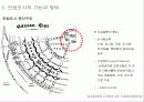 35,하워드전원도시,전원도시론,내일의전원도시,영국전원도시,웰윈,ebenezerhoward,전원도시,전원도시하워드,전원도시계획 11페이지