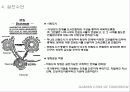 35,하워드전원도시,전원도시론,내일의전원도시,영국전원도시,웰윈,ebenezerhoward,전원도시,전원도시하워드,전원도시계획 15페이지