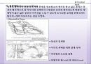 57,도시미화운동,미국도시계획,도시미화,번햄,워싱턴계획,시카고계획,다니엘번햄,프레드릭옴스테드,도시계획사 9페이지