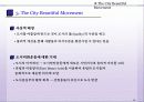 57,도시미화운동,미국도시계획,도시미화,번햄,워싱턴계획,시카고계획,다니엘번햄,프레드릭옴스테드,도시계획사 16페이지