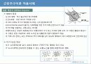 87,근린주구단위 계획 - 근린주구이론,CA페리,근린주구,페리의근린주구 36페이지