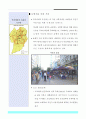 80,꾸리찌바,생태도시,생태도시꾸리찌바,브라질꾸리찌바,꾸리찌바교통,2500 14페이지