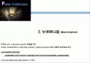65,New Urbanism,뉴어버니즘,뉴어바니즘,어반빌리지,도시계획신조류,뉴어바니즘헌장,개념,원리,동향,논의,뉴어버니즘과 어번빌리지 21th New Paradigm of Urban Planning & Design - New Urbanism & Urban Village 8페이지