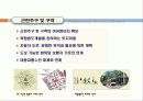 65,New Urbanism,뉴어버니즘,뉴어바니즘,어반빌리지,도시계획신조류,뉴어바니즘헌장,개념,원리,동향,논의,뉴어버니즘과 어번빌리지 21th New Paradigm of Urban Planning & Design - New Urbanism & Urban Village 14페이지