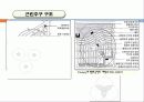 65,New Urbanism,뉴어버니즘,뉴어바니즘,어반빌리지,도시계획신조류,뉴어바니즘헌장,개념,원리,동향,논의,뉴어버니즘과 어번빌리지 21th New Paradigm of Urban Planning & Design - New Urbanism & Urban Village 19페이지