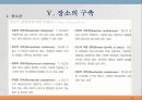 111,도시설계 장소 만들기의 여섯차원,도시설계,장소만들기,여섯차원,지각의 차원,2500 17페이지