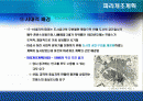 110, 파리개조계획과 유겐 오스만 2페이지