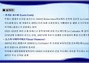 109,신행정수도,해외사례,신행정수도사례,브라질리아,캔버라,푸트라자야,신행정수도외국사례 4페이지