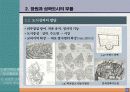 118,도시계획사,중세도시계획,중세도시,로마붕괴,상업발달,중세의도시,중세신도시,서양도시계획사,중세도시계획,중세도시계획,중세시대,서구중세도시,4000 7페이지