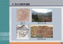 118,도시계획사,중세도시계획,중세도시,로마붕괴,상업발달,중세의도시,중세신도시,서양도시계획사,중세도시계획,중세도시계획,중세시대,서구중세도시,4000 10페이지