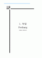 142,1. 독일 프라이부르그(Freiburg) 친환경도시개발사례 - 생태도시,생태도시개발,생태도시,해외사례,친환경도시개발사례,독일,프라이부르그 1페이지