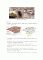 135,도시재생 베를린 (Berlin) - 도시재생사례,해외도시재생사례,독일도시재생사례,베를린도시재생사례,독일베를린,2500 4페이지