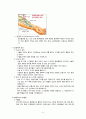 CRF(만성신부전, 만성신부전증) CASE 5페이지