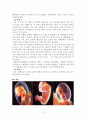 [인간행동과사회환경a+자료] 태아기, 유아기, 학령전기에 대해서 5페이지