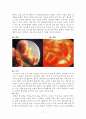 [인간행동과사회환경a+자료] 태아기, 유아기, 학령전기에 대해서 7페이지