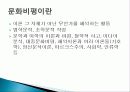 문화 개념의 유래, 문화의 정의, 문화 연구, 헤르더, 카시러, 문화비평, 고급문화, 대중문화를 정의하는 방법, 특징, 역할, 기법, 시사점, 조사분석 7페이지