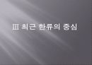 변화된 한류의 분석 10페이지