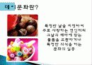 데이 문화의 정의, 종류, 상업화 변질, 빼빼로 데이, 공격적 데이마케팅 양산, 사회학적 이론 적용, 데이문화에 대한 고찰, 앞으로의 방향, 전망, 특징, 분석 3페이지
