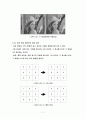 [공과대학 컴퓨터공학부 논문] 차영상을 이용한 동화상에서의 보행자 추적(Pedestrian tracking using subtraction images in moving picture) 9페이지